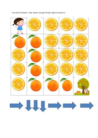 Portakal kodlaması
