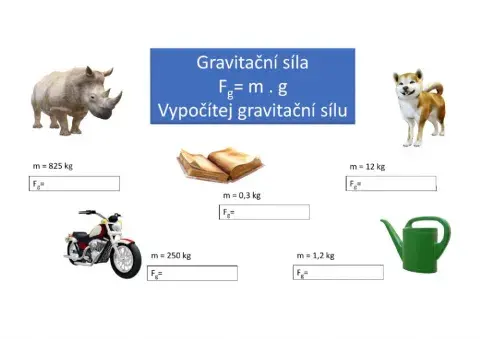 Gravitační síla