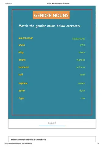 Gender Nouns