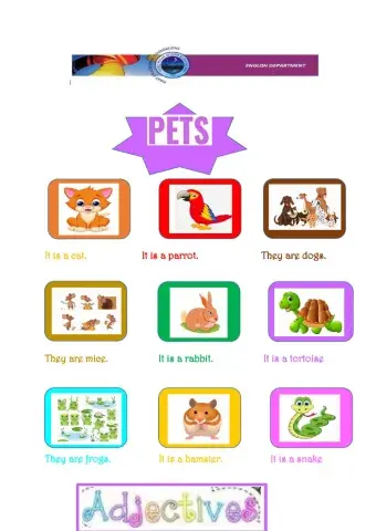 Grade 1 unit 5:pets