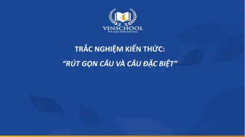 Quiz: Câu đặc biệt + Câu rút gọn