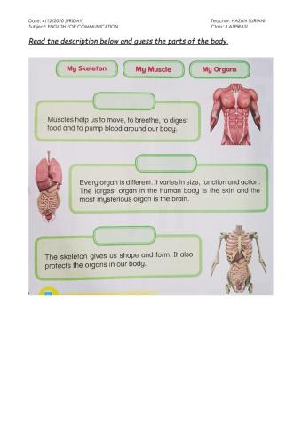 EFC - Parts of the body