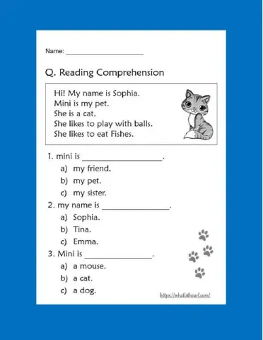 Reading Comprehension