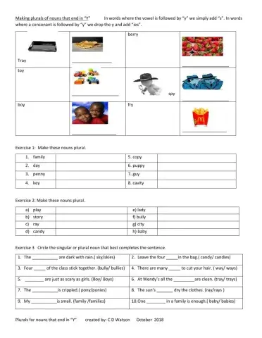 Plurals for words ending in -Y-