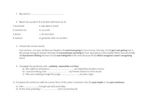 Past simple vs past continous