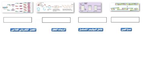 الهندسة الوراثية