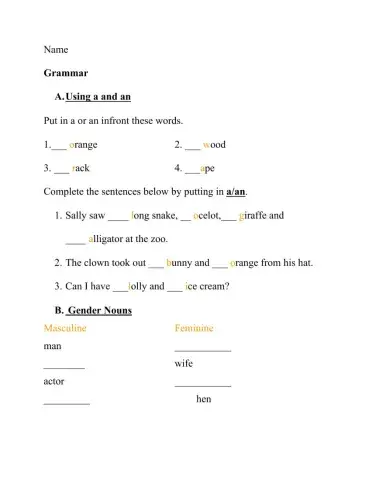 A-AN, Masculine and Feminine and Plural