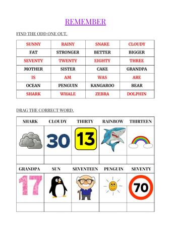 Vocabulary: Revision