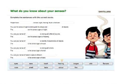 What dou you know about your senses?