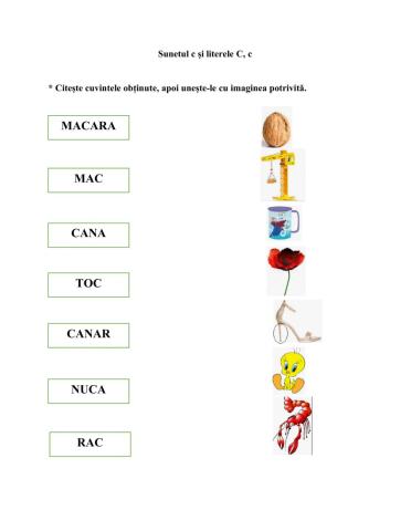 Sunetul c. literele C,c