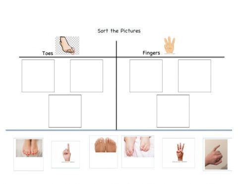 Sort toes and fingers