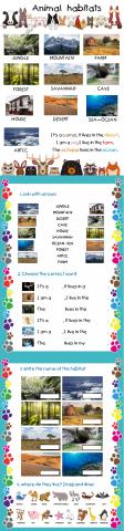 Animal habitats