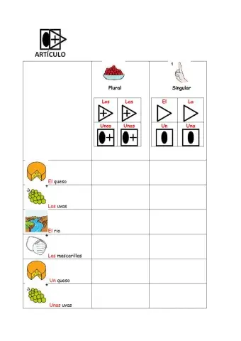 Determinante y articulo