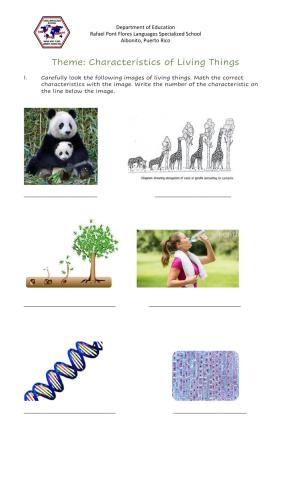 Characteristics of Living Things