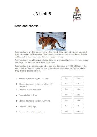 J4 U5 - Siberian Tiger - Reading