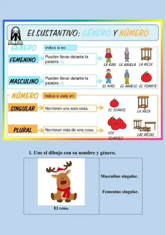 Género y el número