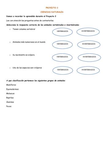 Refuerzo-proyecto-2-ccnn