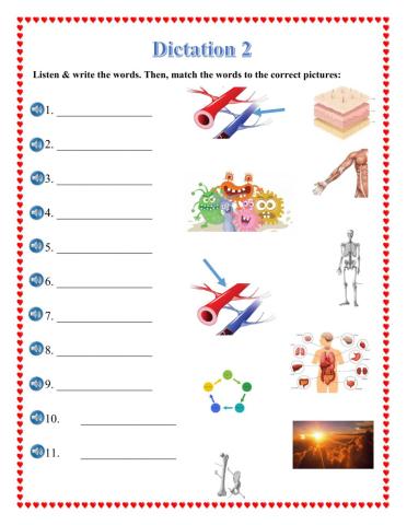 Discover Grade 3 Dictation 2