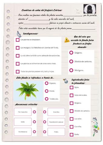 Cuaderno de campo del profesor Colerius