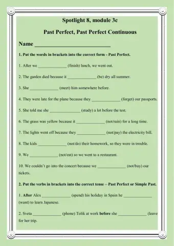 Spotlight 8, module 3c