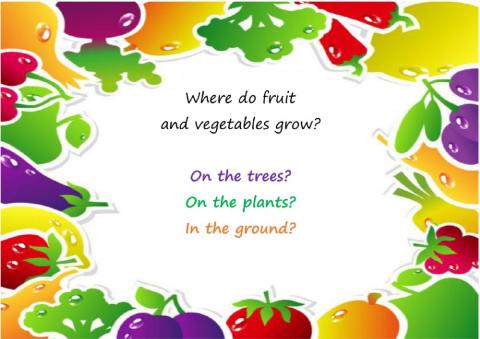Fruit and Vegetables