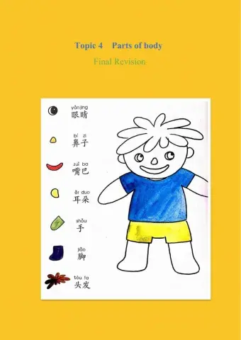 Final Revision-Topic 4 Parts of body