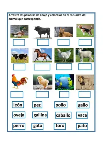 Conciencia fonológica