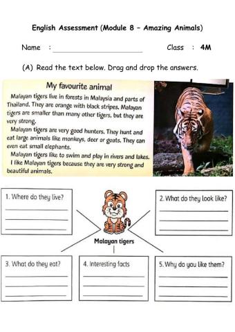 Module 8 - Amazing Animals