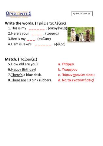 Ajunior class -Dictation 11