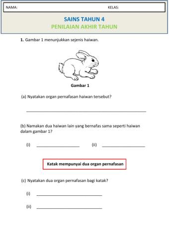 Penilaian Akhir Tahun