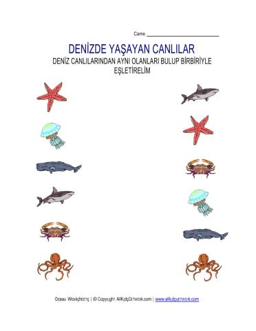 Hayvanları eşleştirelim