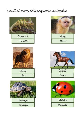 Nom dels animals