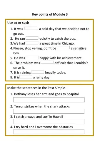 So-Such- Past Simple