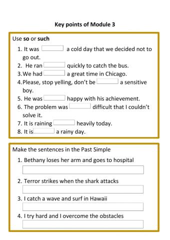 So-Such- Past Simple