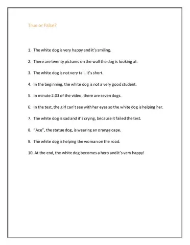 Pip - Comprehension activity