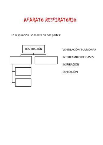 Aparato respiratorio