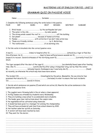 Mastering Unit 11 GrammarTest