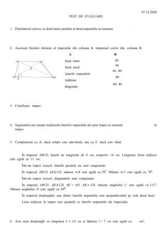 Test  clasa  a  VII-a