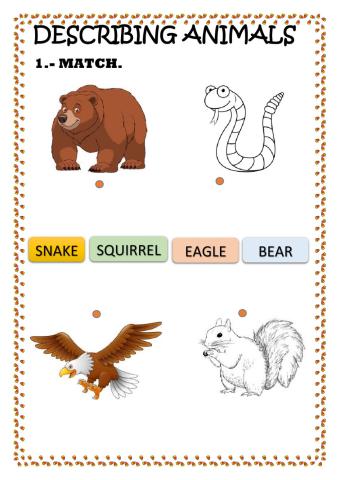 Animals -describing