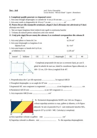 Test Arii clasa a VII-a