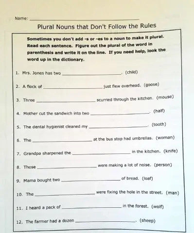 Irregular plural nouns