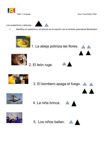 Sustantivos  y artículos signo gramatical Montessori