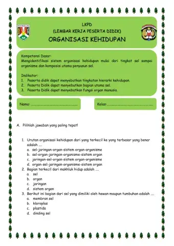 Organisasi Kehidupan