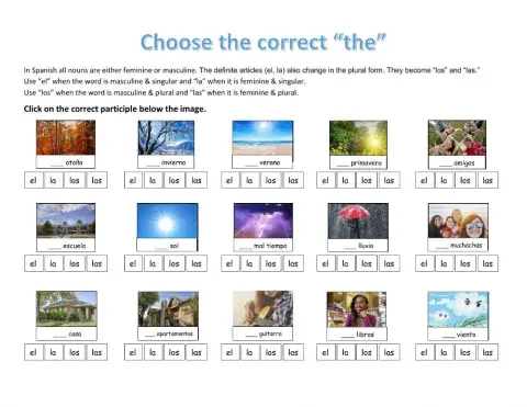 The article - Reading Comprehension Review