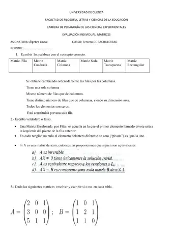 Evaluación de Matrices