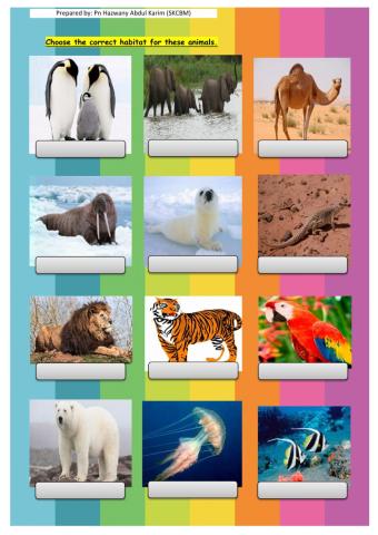 The old house year 2