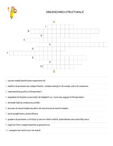 Rebus structura organizatorica