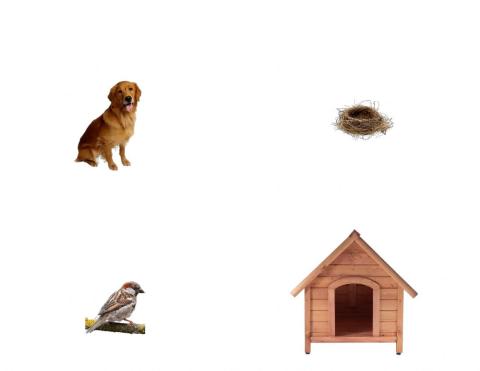 Кой къде живее