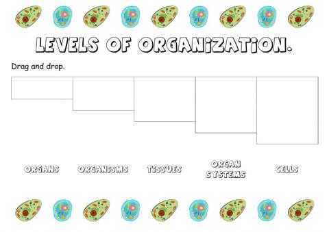 Levels of organization (1).