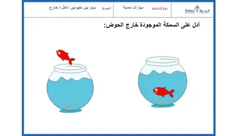 2مهارات ماقبل الحساب